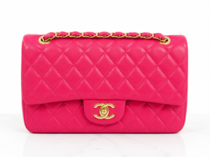 Chanel Small Classic Double Flap Bag (Medium)